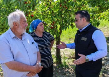 Vali Sözer Kiraz Hasadında Üreticilerle Buluştu
