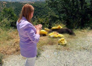 BAŞKAN TEKİN’DEN YOL KENARINA BIRAKILAN HAYVAN LEŞİNE SERT TEPKİ