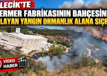 MERMER FABRİKASININ BAHÇESİNDE BAŞLAYIP ORMANLIK ALANA SIÇRAYAN YANGIN BÜYÜMEDEN SÖNDÜRÜLDÜ