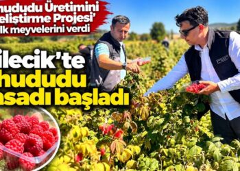 AHUDUDU HASADI BAŞLADI