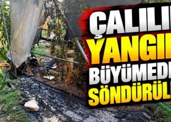 ÇALILIK YANGINI BÜYÜMEDEN SÖNDÜRÜLDÜ